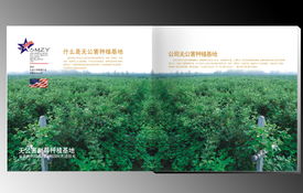 赛尚品牌设计 河南郑州专业品牌策划与软件开发服务